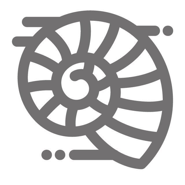 Spiral Fossil Icon