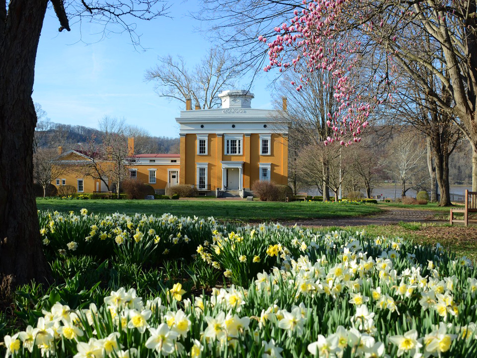 Lanier Mansion and Flowers