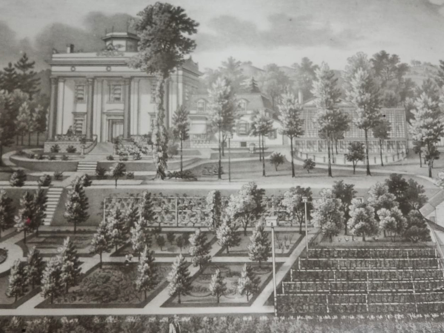 Illustration of Lanier Mansion Grounds