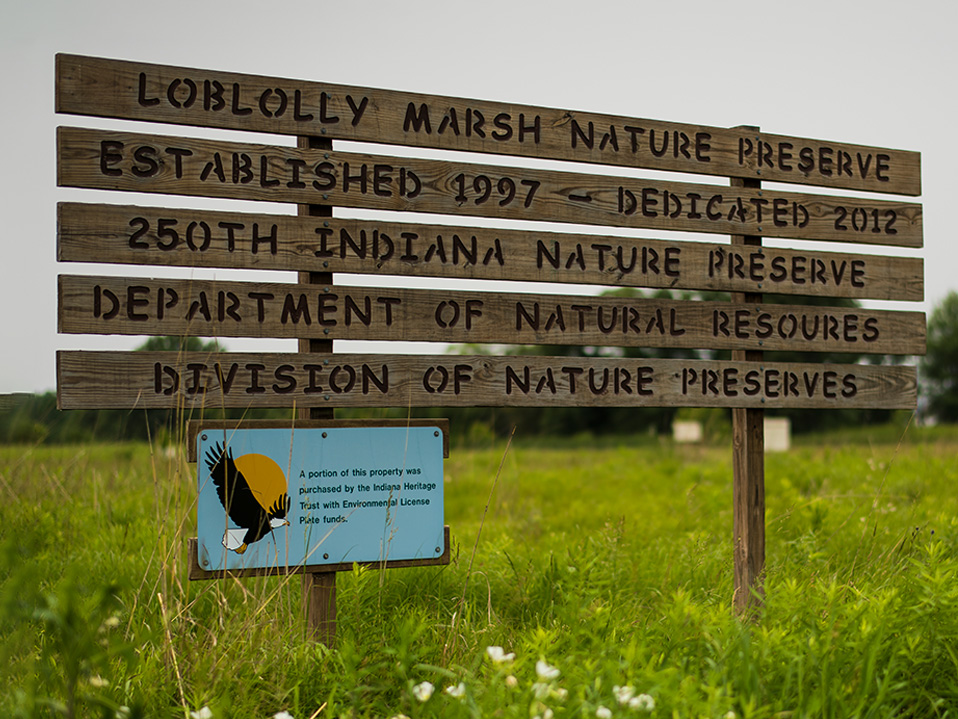 Loblolly Sign