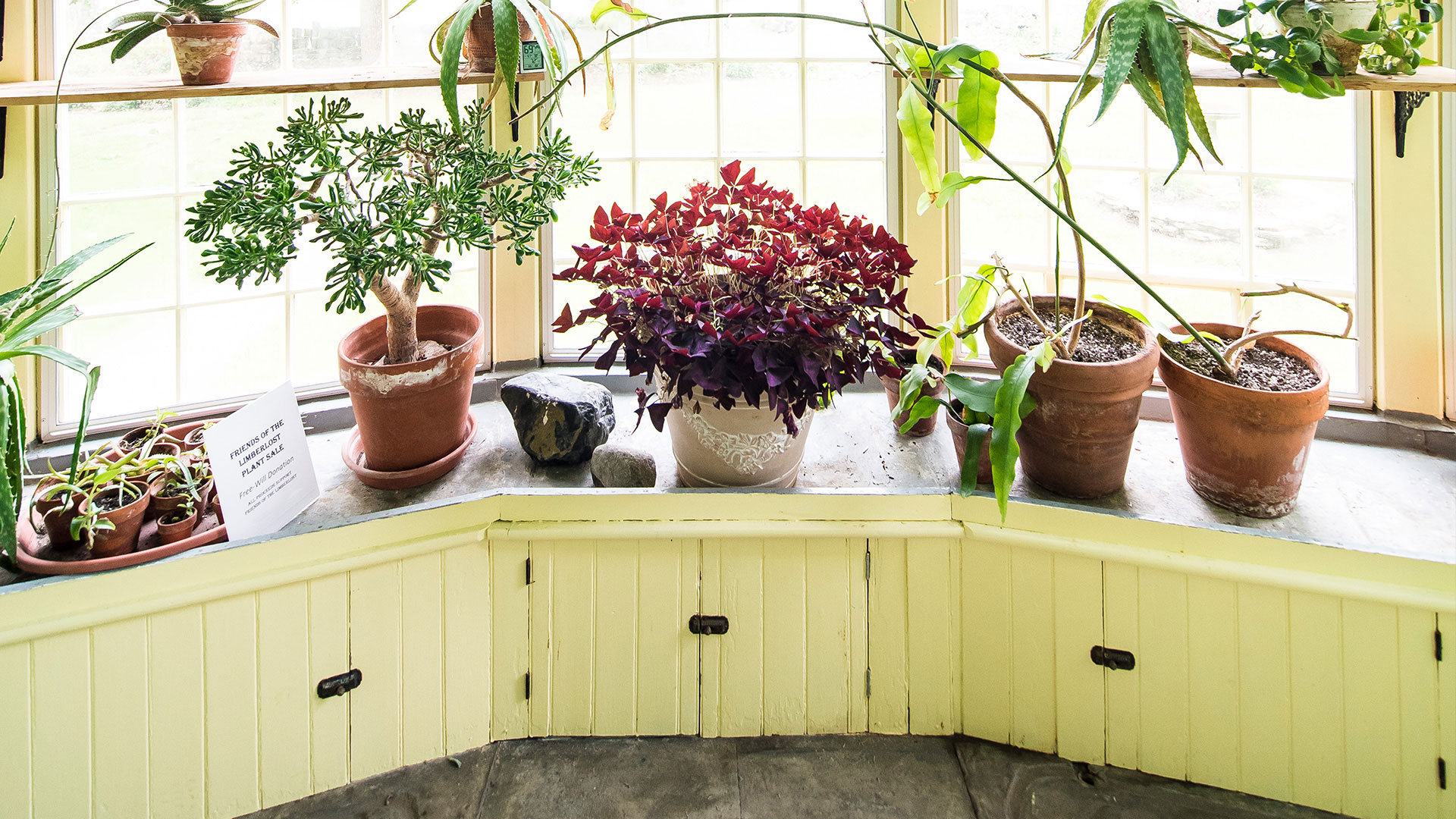 Greenhouse at Limberlost