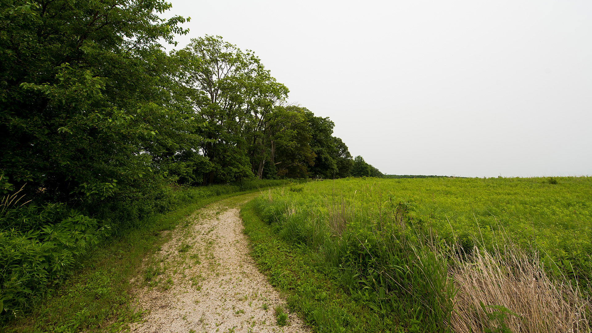 Trails at Limberlost