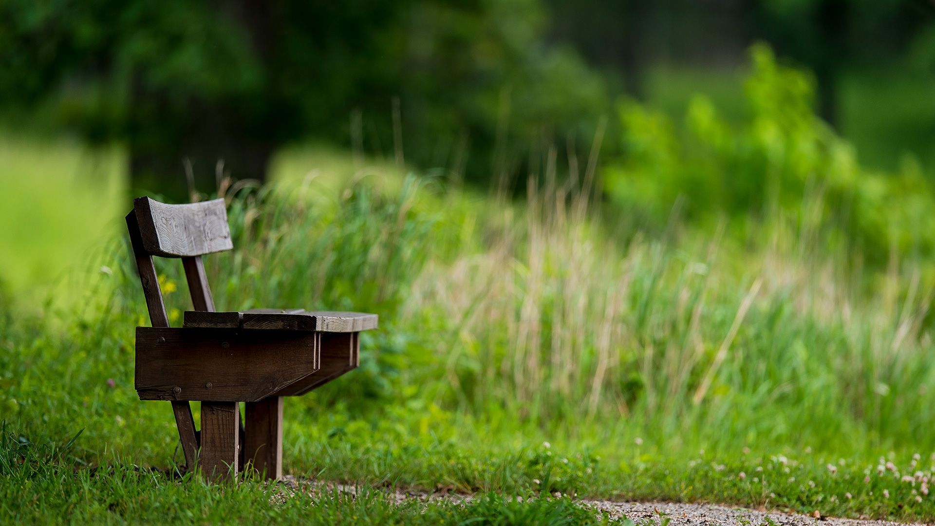 Bench at Limberlost