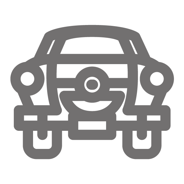 Champion Car Icon