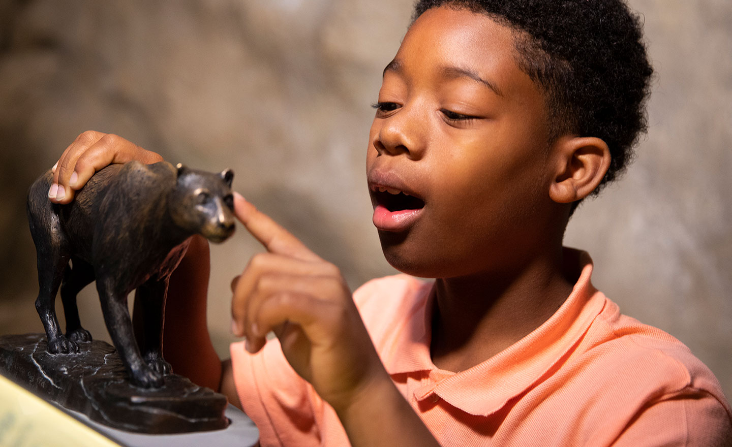 Boy with wolf statue