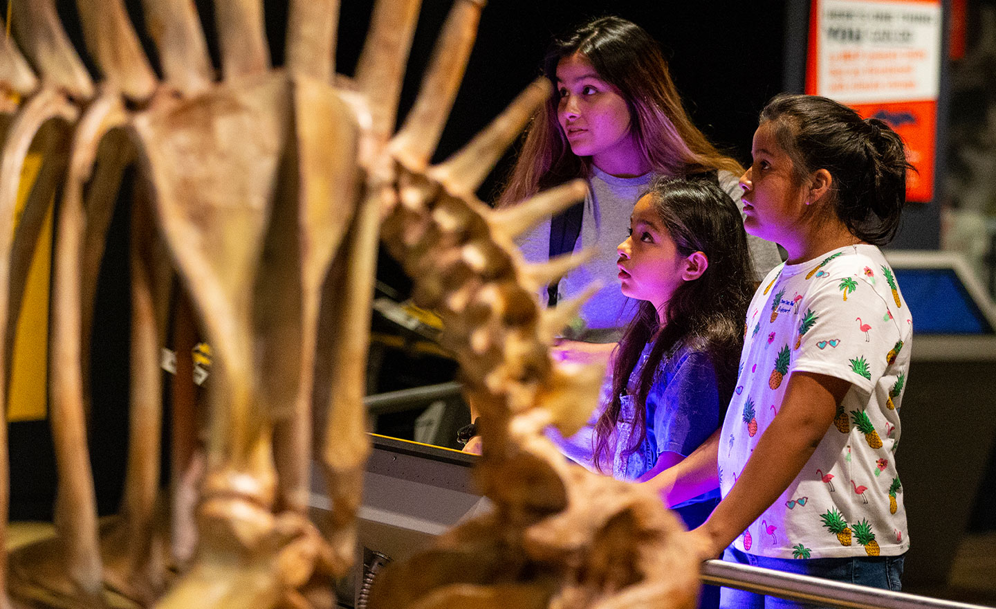 group viewing skeletons