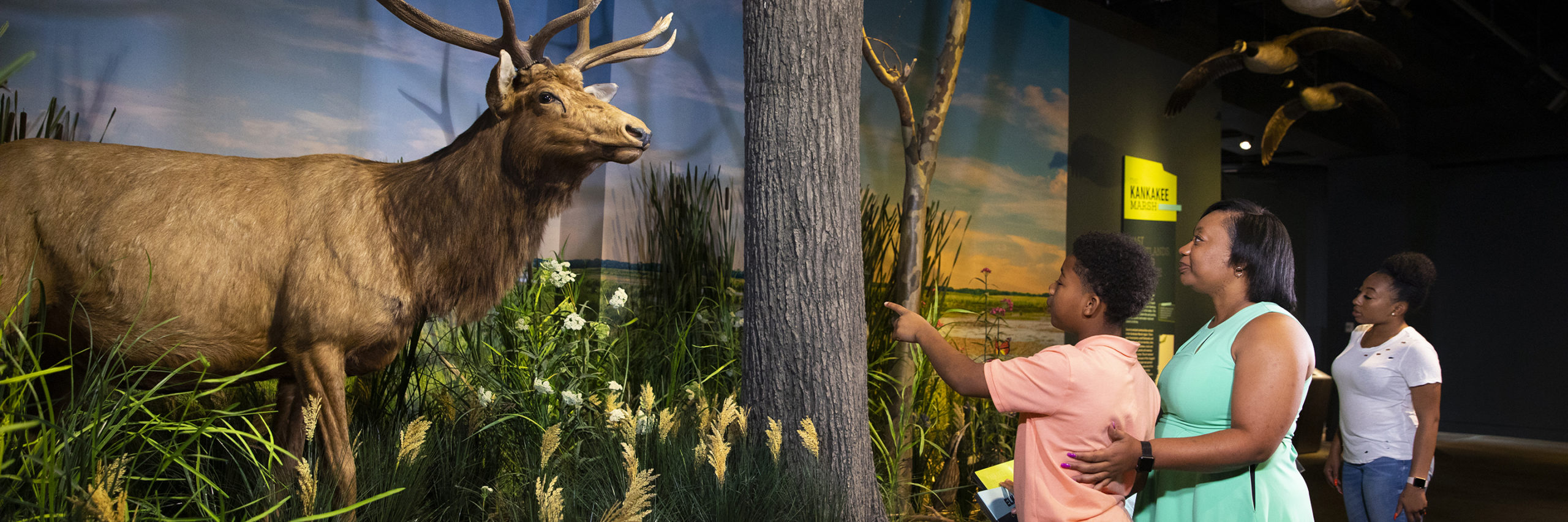 Guests Interacting with Exhibit