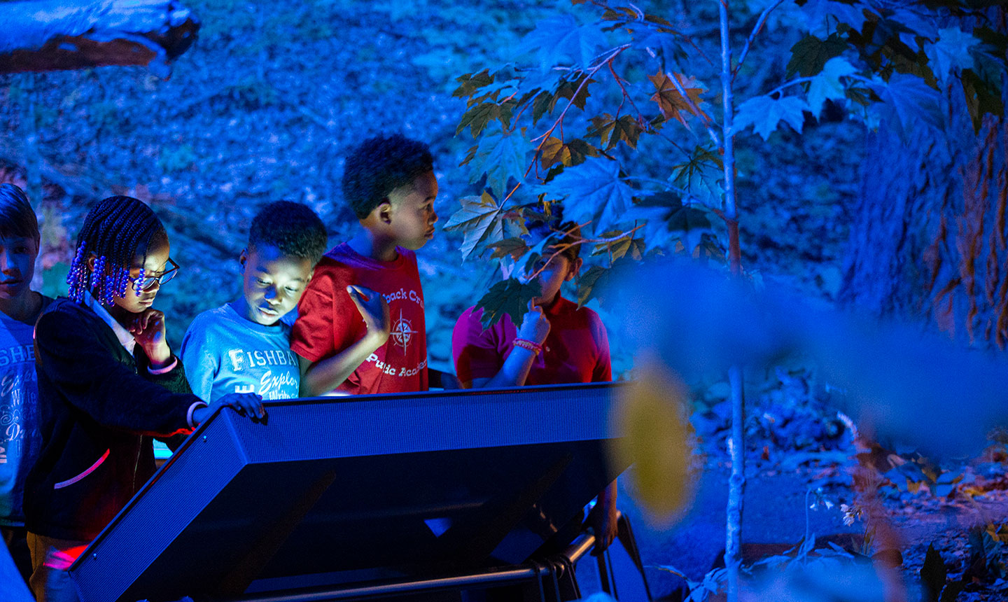 Children Interacting with Exhibit