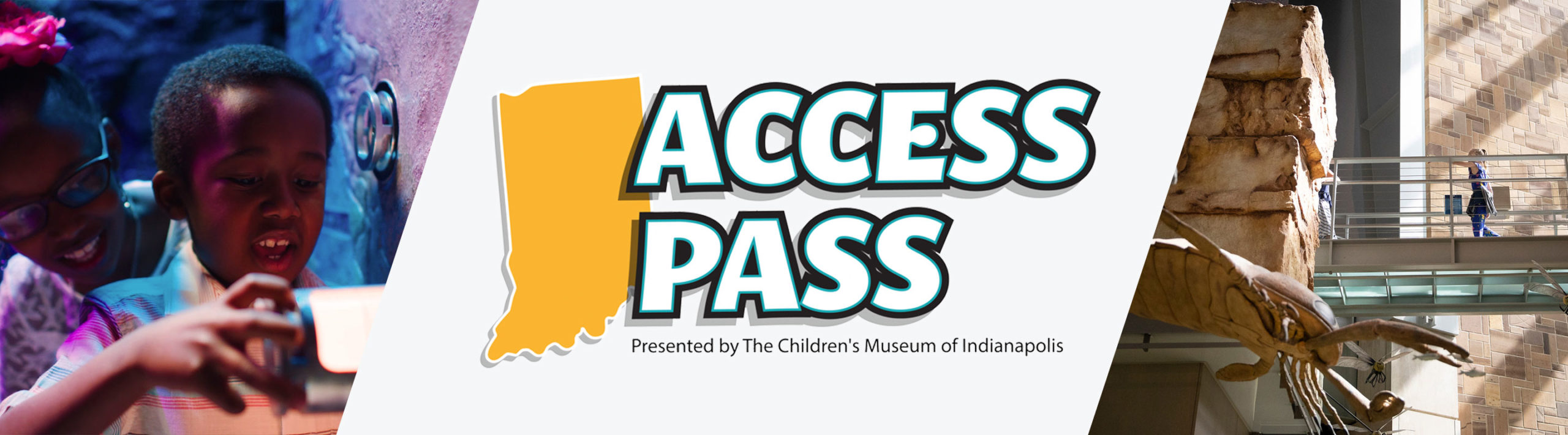 Access Pass Header