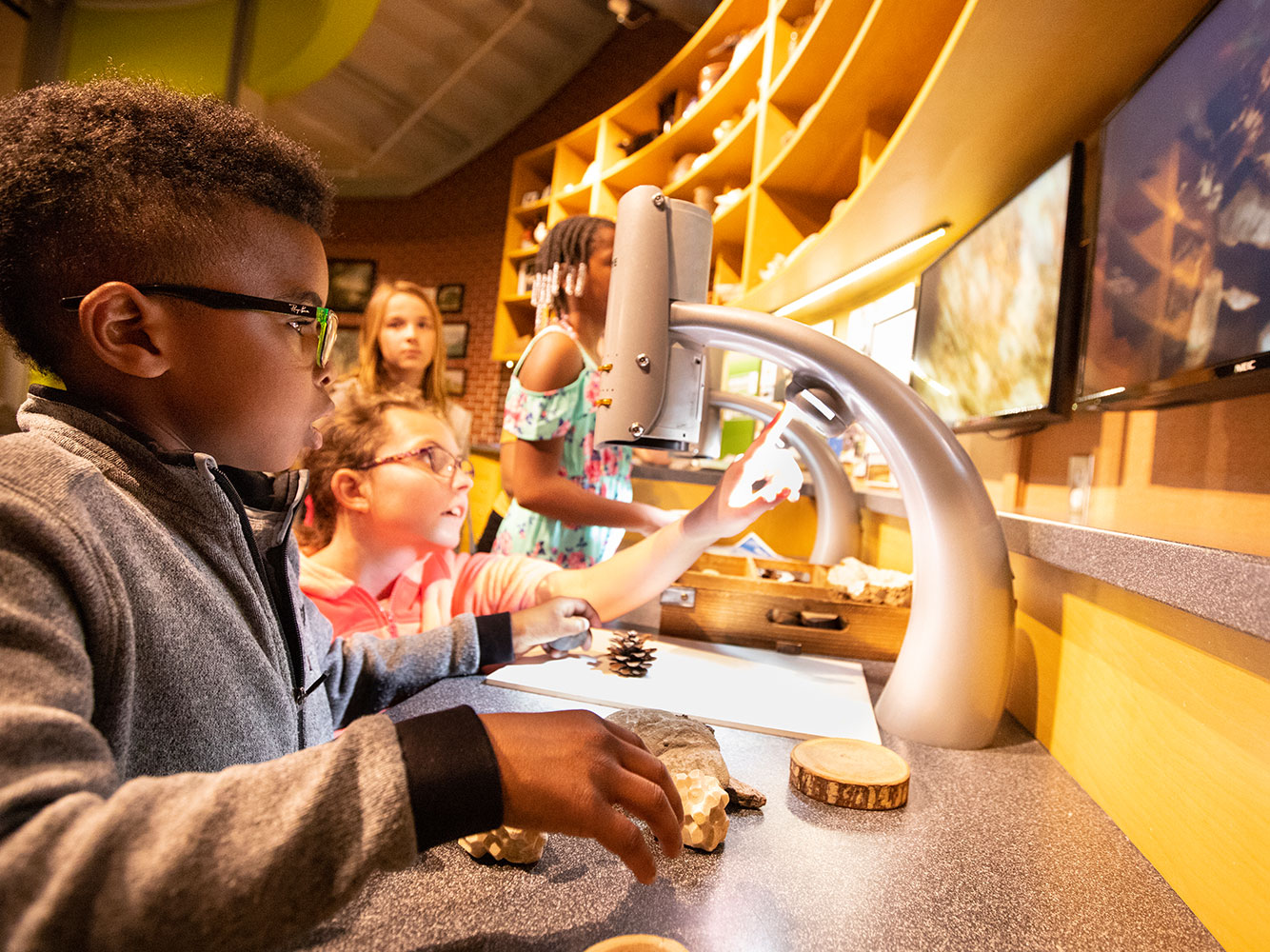 Kids at Naturalist Lab