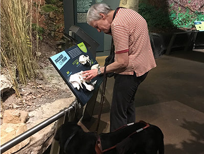 Guest Interacting with Exhibit