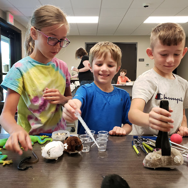 kids at table building bird nest