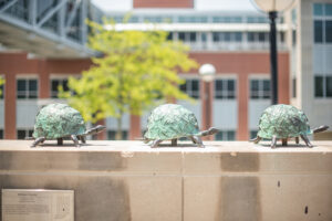 Turtle sculpture