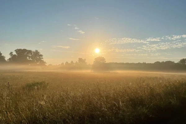 Summer Solstice Alignment