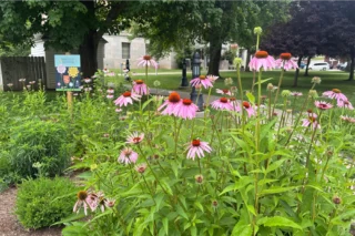 A Pollinator’s World