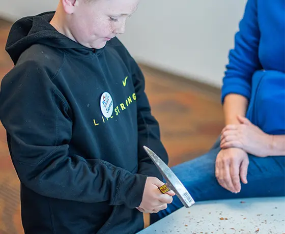 Fossil Dig Discovery (Grades 3-5) 