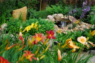 A Pollinator’s World