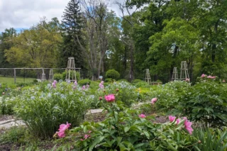 A Pollinator’s World