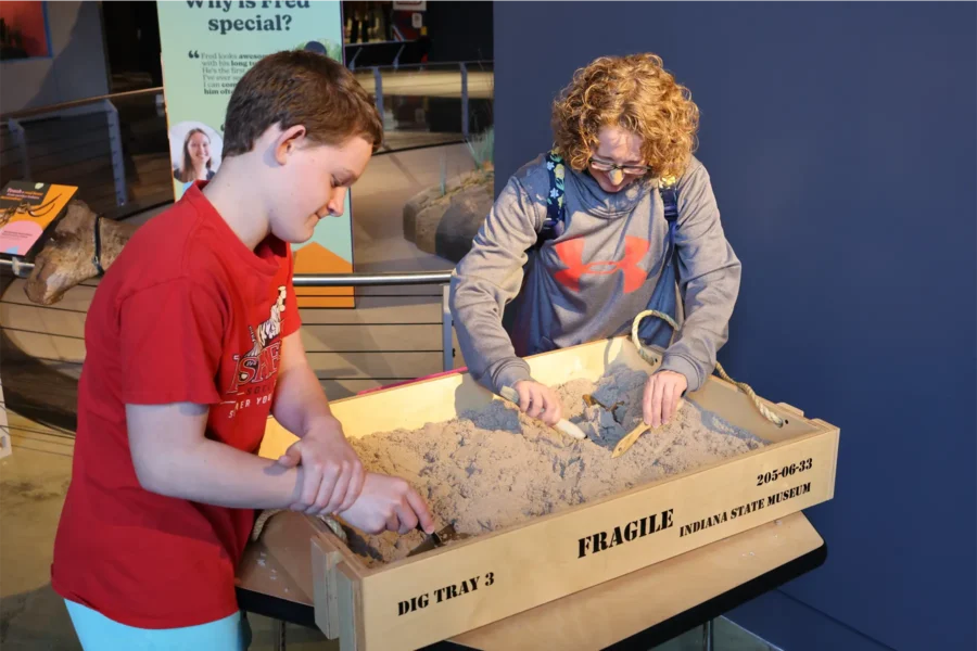 Family Discovery Day: Archaeology