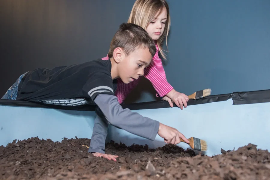 Family Discovery Day: Archaeology
