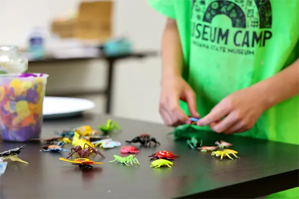 Grossology Camp