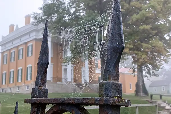 Haunted Histories