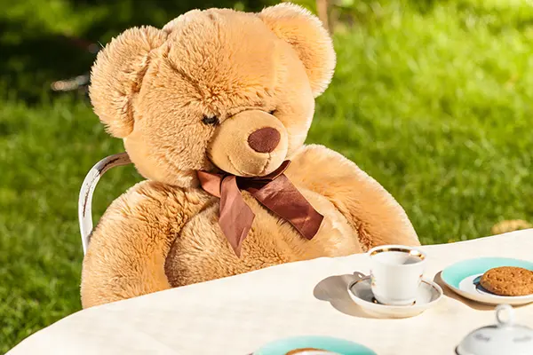 The Teddy Bear Tea