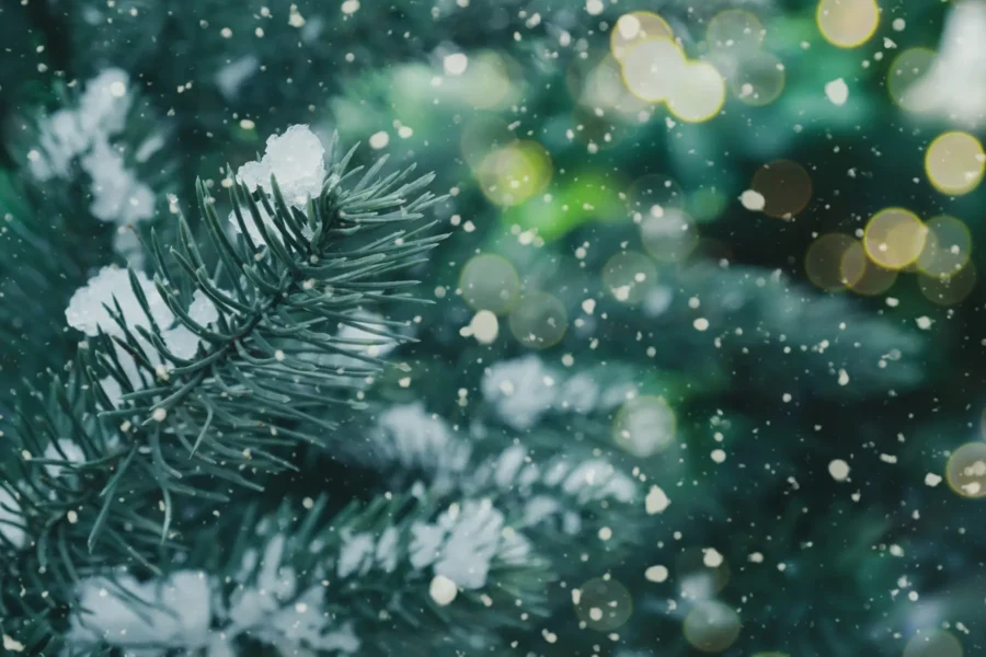 Hands-on History: Winter Wonders, the Science and Stories Behind Holiday Traditions