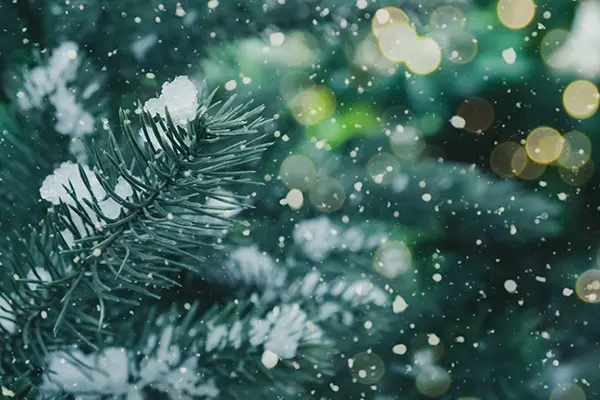 Hands-on History: Winter Wonders, the Science and Stories Behind Holiday Traditions