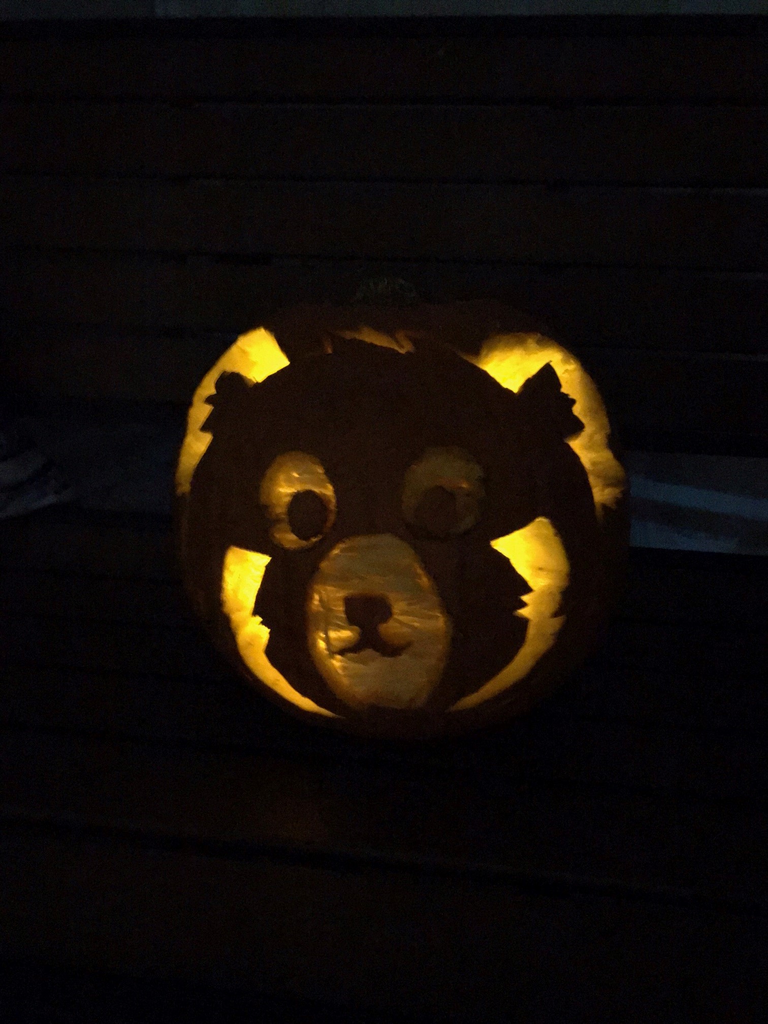 Nicole Rife For the Love of Red Panda